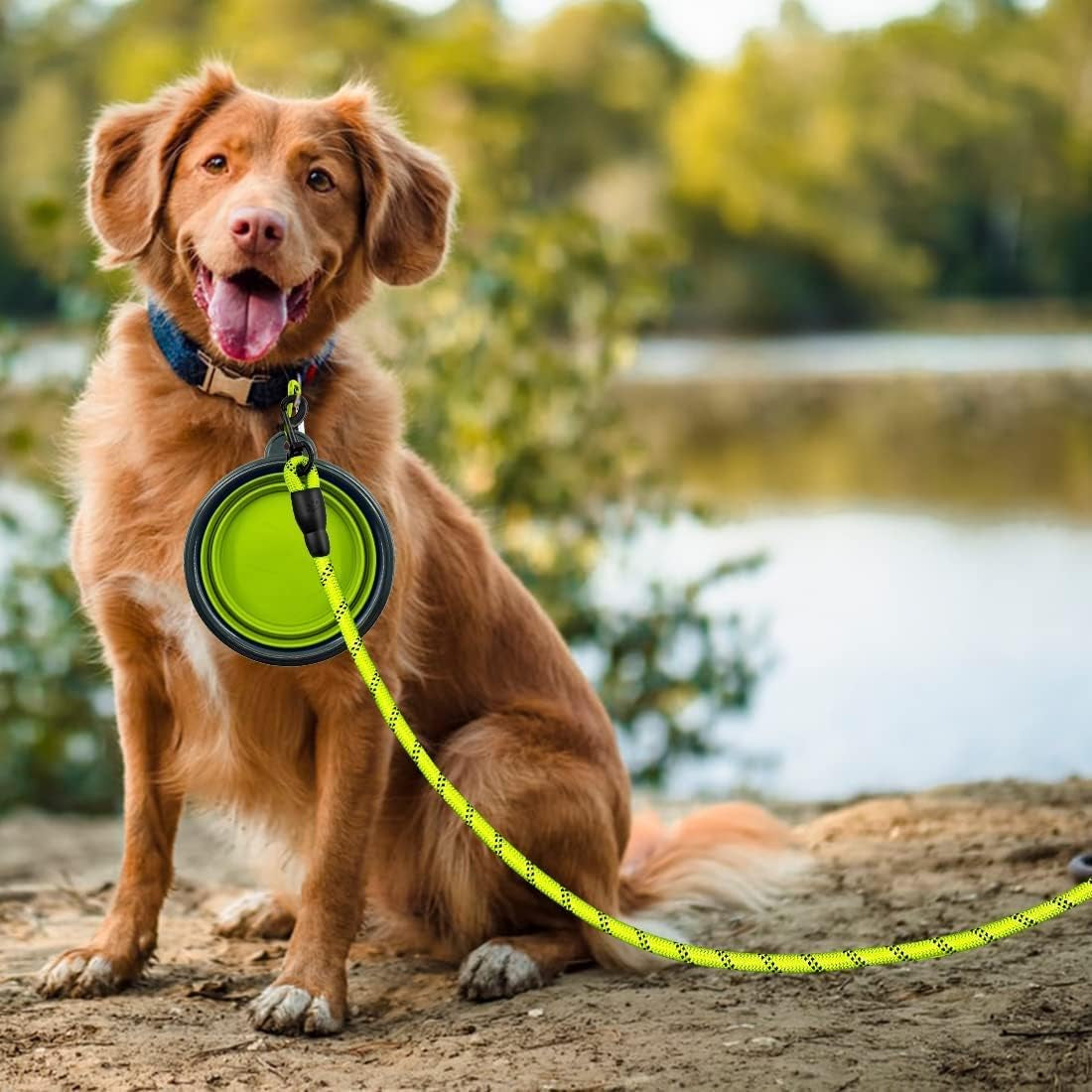 2 Pack 2/5/6 FT Dog Leash with Comfortable Padded Handle Reflective Dog Leashes for Medium Large Dogs with Collapsible Pet Bowl and Garbage Bags… (Black+Blue, 1/2'' X 5 FT)…